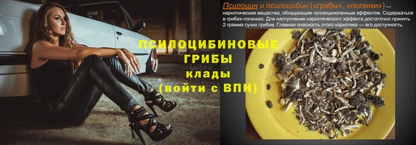 ALPHA PVP Кинешма