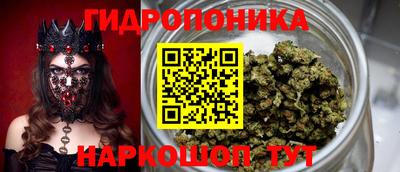 прущая мука Будённовск