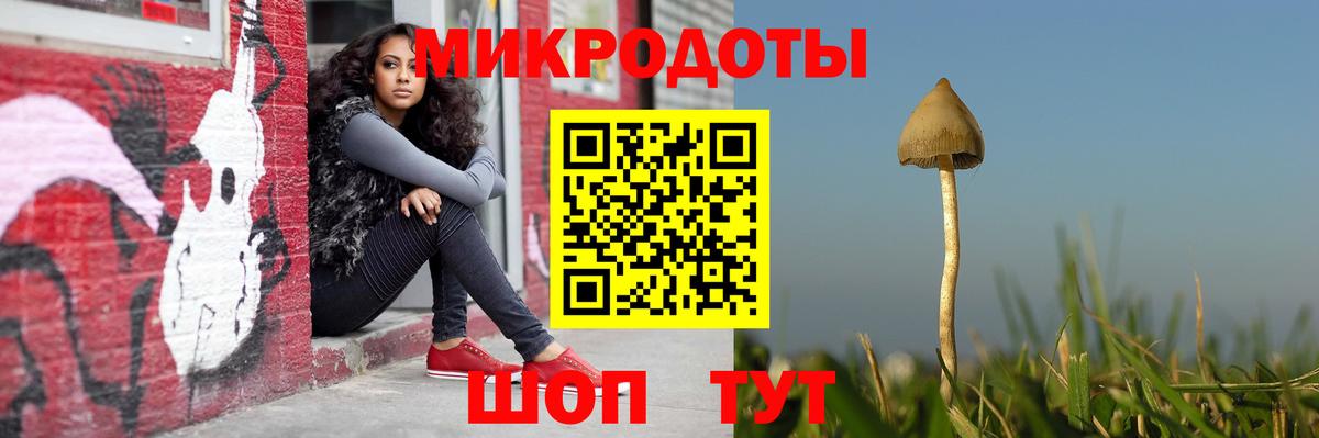 Сатка  Галлюциногенные грибы прущие грибы  Вход с VPN  Галлюциногенные грибы прущие грибы 